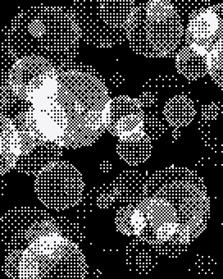 A dither ASCII picture made with Devault ASCII
