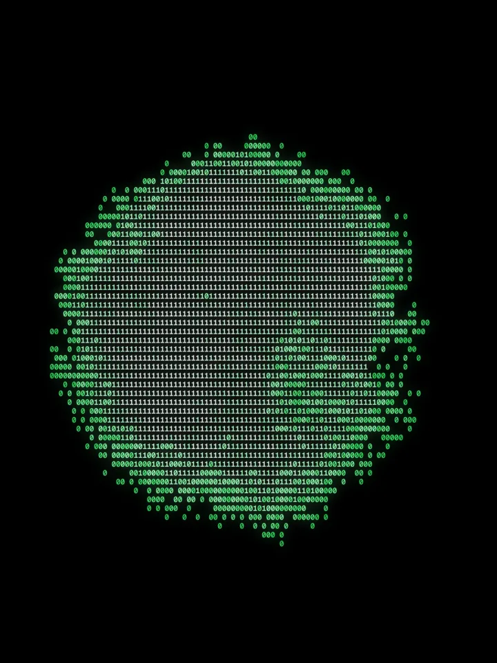A terminal ASCII picture made with Devault ASCII
