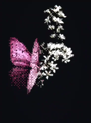 A dither ASCII video made with Devault ASCII